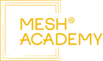 MESH Academy yellow 300x178px 5f260071